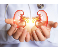 Почечные болезни