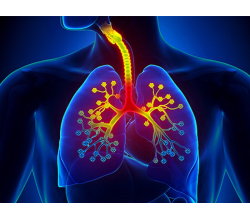 Туберкулез