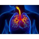 Туберкулез