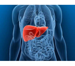 Печёночные заболевания