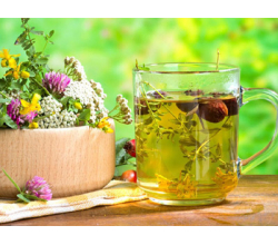 Мочегонное Мочегонное