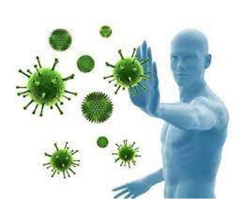 Иммуностимулирующее Иммуностимулирующее