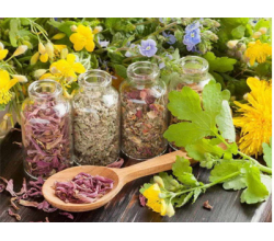 Антипаразитарное Антипаразитарное