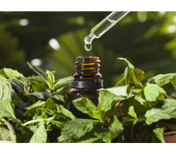 Ранозаживляющее Ранозаживляющее