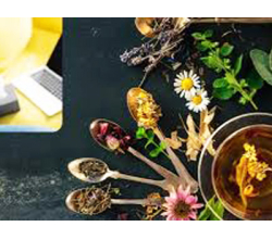 Отхаркивающие Отхаркивающие