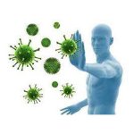 Иммуностимулирующее