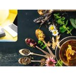 Отхаркивающие