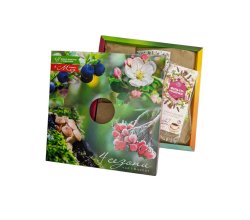 Набор чая "4 сезона"