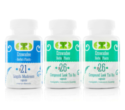 Оздоровительный Комплекс №3 - очистка Печени (№21 + №26 + №26)