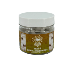 Мицелий ежика гребенчатого в капсулах 60 шт по 0,5 г